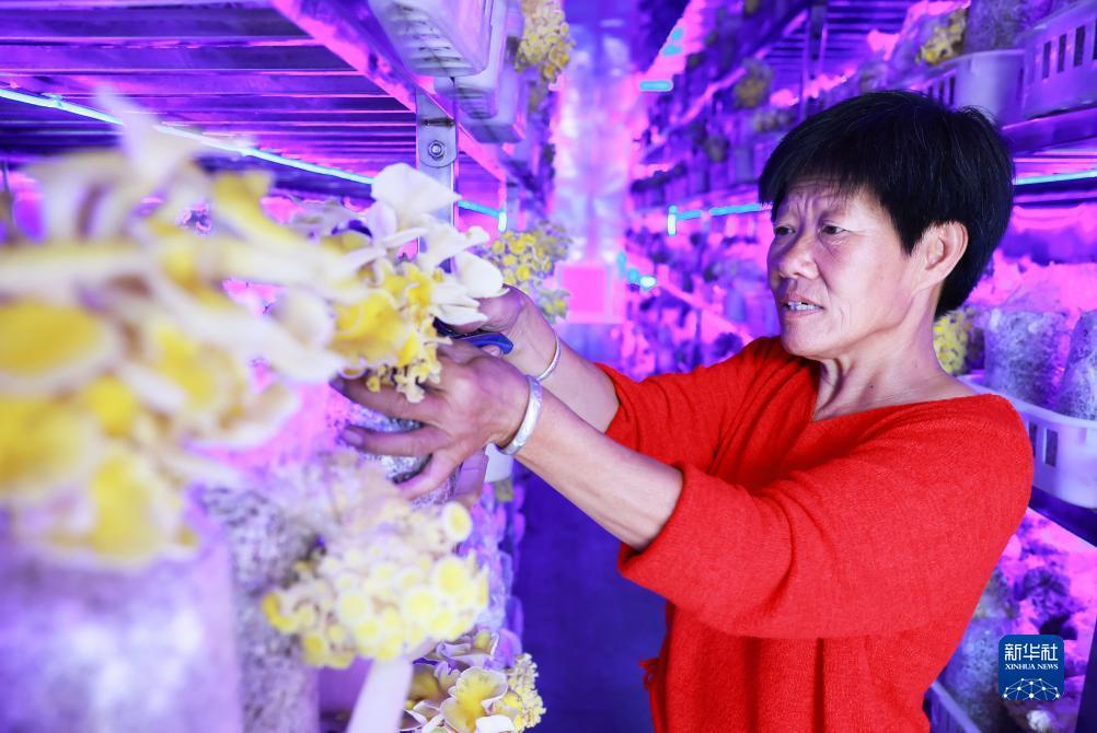 捕鱼大玩咖豪礼卷